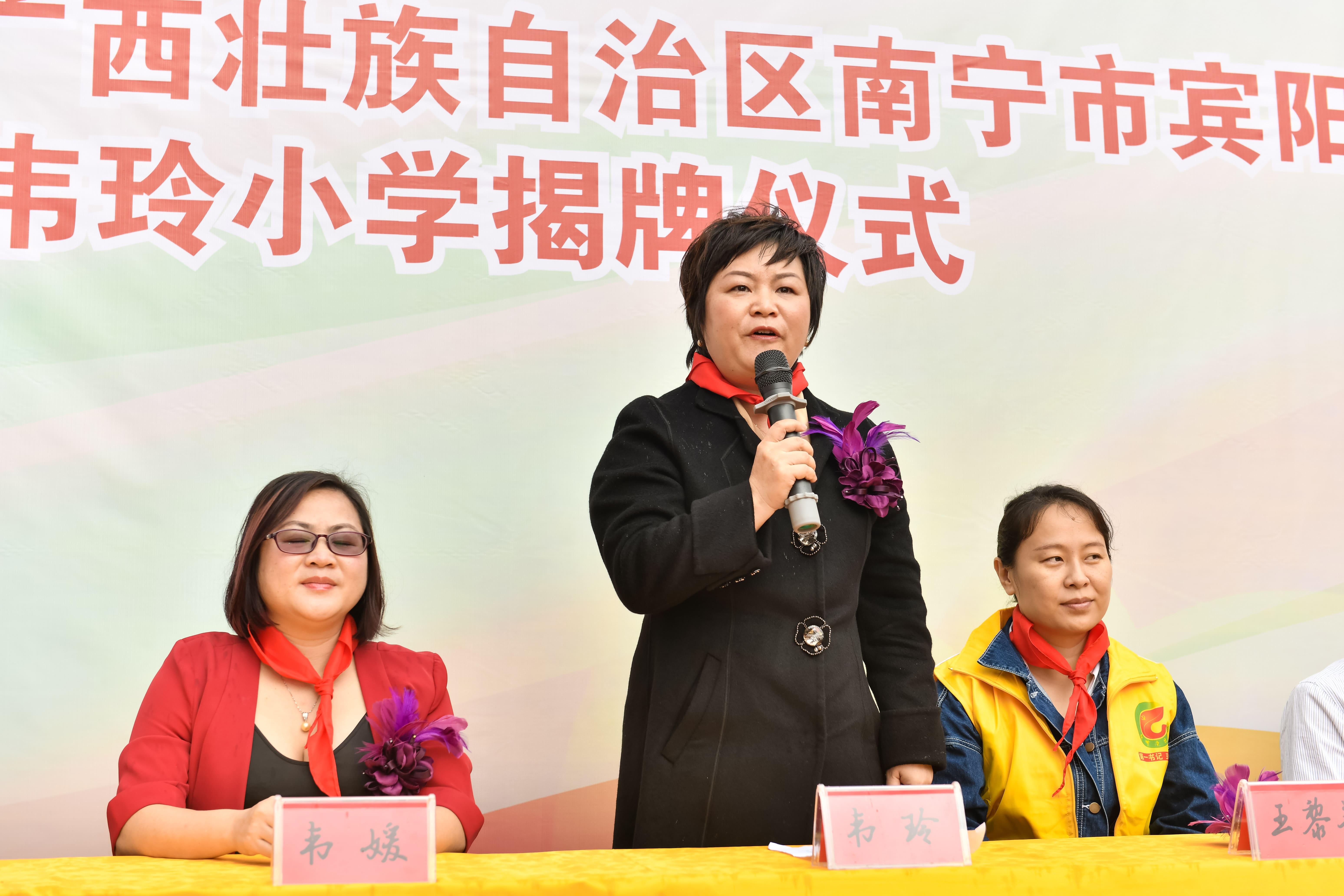 第184所 南宁市宾阳县思陇镇昆仑村星空平台韦玲小学 第184所 南宁市宾阳县思陇镇昆仑村星空平台韦玲小学